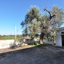Carovigno Puglia