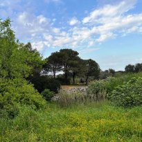Ceglie Messapica Puglia