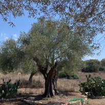 San Giovanni, Olbia Sardegna