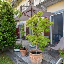 Bee Lago Maggiore
