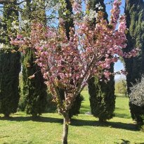Caprara Umbria