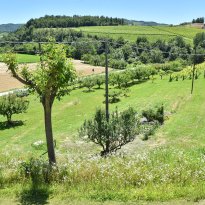 Valle Bormida Piemonte