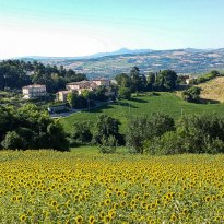 Serrungarina Le Marche