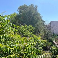 Ceglie Messapica Puglia