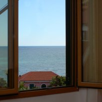 cipressa Liguria