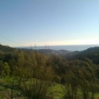 Lingueglietta Liguria